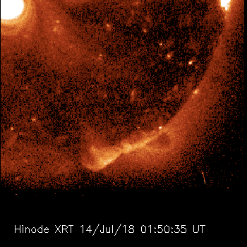 Hinode XRT observes the Sun
