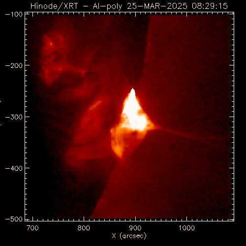 AR14036